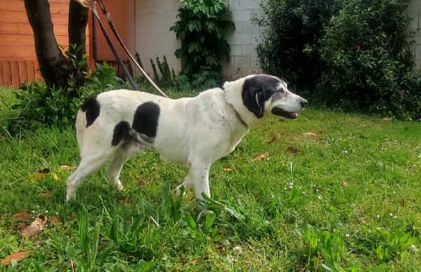 VALERIO TENERA ADOZIONE DEL CUORE Foto 8